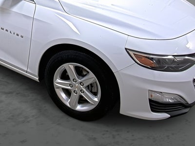 2023 Chevrolet Malibu FL